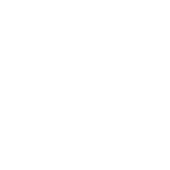 Discord Icon